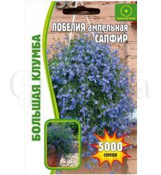 Лобелия ампельная Сапфир  5000 шт РЕДКИЕ СЕМЕНА
