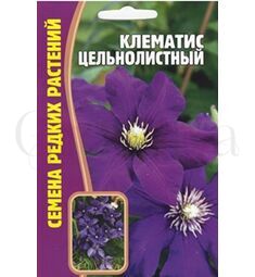 Клематис Цельнолистный 5 шт РЕДКИЕ СЕМЕНА