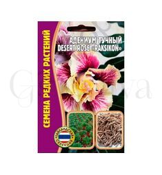 Адениум Тучный Desert rose  RAKSIKON  3 шт РЕДКИЕ СЕМЕНА