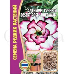 Адениум тучный Desert rose  Doksawal 3 шт РЕДКИЕ СЕМЕНА