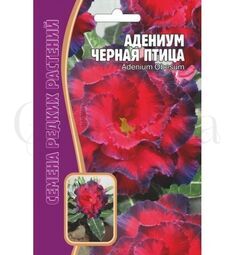 Адениум Черная птица 3 шт РЕДКИЕ СЕМЕНА