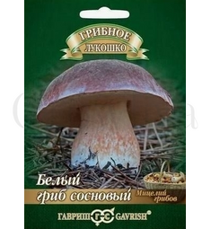 Белый Гриб Сосновый на зерновом  субстрате 15 мл