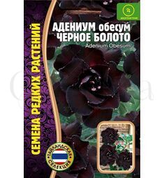 Адениум Черное Болото 3 шт РЕДКИЕ СЕМЕНА
