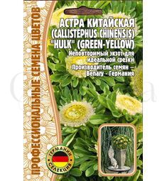 Астра китайская Hulk (green-yellow) 5 шт РЕДКИЕ СЕМЕНА