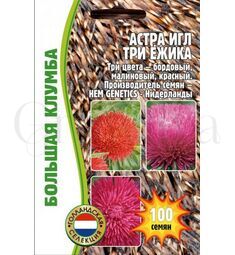 Астра игл Три Ёжика 100 шт РЕДКИЕ СЕМЕНА