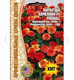 Бархатцы Хамелеон F1 Fireball 5 шт РЕДКИЕ СЕМЕНА