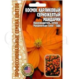 Космос Мандарин карликовый серножелтый 5 шт РЕДКИЕ СЕМЕНА