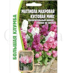 Маттиола махровая кустовая микс 0,1 г РЕДКИЕ СЕМЕНА