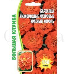 Бархатцы Красный Король низкорослые махровые 150 шт РЕДКИЕ СЕМЕНА