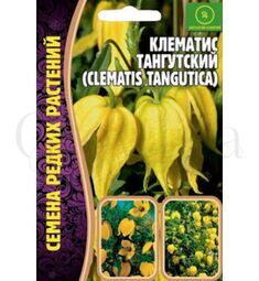 Клематис Тангутский 10 шт РЕДКИЕ СЕМЕНА