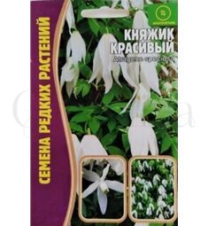 Клематис Княжик Красивый 3 шт РЕДКИЕ СЕМЕНА