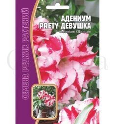 Адениум Прелестная девушка 3 шт РЕДКИЕ СЕМЕНА