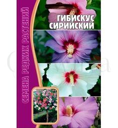 Гибискус Сирийский 7 шт РЕДКИЕ СЕМЕНА