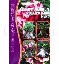 Адениум Arabicum Роза пустыни смесь 3 шт РЕДКИЕ СЕМЕНА