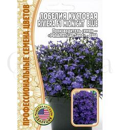 Лобелия кустовая Ривьера Миднай Блю F1 5 шт РЕДКИЕ СЕМЕНА