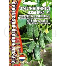 Огурец Джастина F1 мини корнишон 6 шт РЕДКИЕ СЕМЕНА