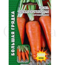 Морковь Польская Короткоплодная долгохранящаяся 3500 шт РЕДКИЕ СЕМЕНА