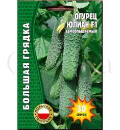 Огурец Юлиан F1 самоопыляемый Польша 30 шт РЕДКИЕ СЕМЕНА