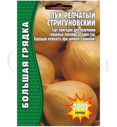 Лук репчатый Стригуновский 1000 шт РЕДКИЕ СЕМЕНА
