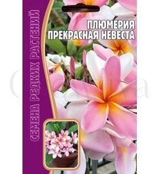 Плюмерия Прекрасная Невеста 3 шт РЕДКИЕ СЕМЕНА