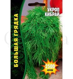 Укроп Кибрай  2500 шт РЕДКИЕ СЕМЕНА