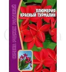Плюмерия Красный Турмалин 3 шт РЕДКИЕ СЕМЕНА