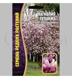 Магнолия Суланжа 3 шт РЕДКИЕ СЕМЕНА
