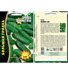 Огурец Феникс Плюс 50 шт РЕДКИЕ СЕМЕНА