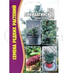 Ель Ликиангинская  15 шт РЕДКИЕ СЕМЕНА
