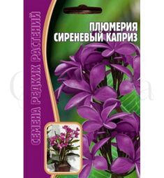 Плюмерия Сиреневый Каприз 3 шт РЕДКИЕ СЕМЕНА