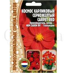 Космос Карпет Ред карликовый серножелтый 5 шт РЕДКИЕ СЕМЕНА