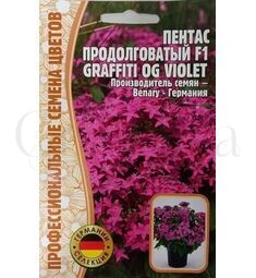 Пентас продолговатый F1 Graffiti OG Violet 3 шт РЕДКИЕ СЕМЕНА