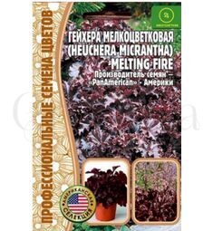 Гейхера Милтинг Файер  мелкоцветковая 5 шт РЕДКИЕ СЕМЕНА