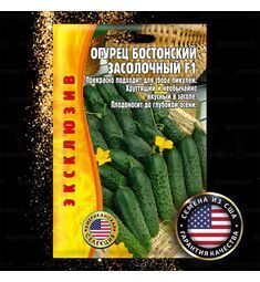 Огурец Бостонский Засолочный F1 15 шт (США) РЕДКИЕ СЕМЕНА