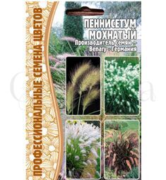 Пеннисетум Мохнатый (Pennisetum Villosum) 10 шт РЕДКИЕ СЕМЕНА