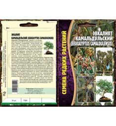 Эвкалипт Камадульский РЕДКИЕ СЕМЕНА