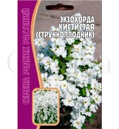 Экзохорда кистистая струнноплодник 7 шт РЕДКИЕ СЕМЕНА