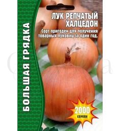 Лук репчатый Халцедон 1000 шт РЕДКИЕ СЕМЕНА