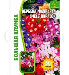 Вербена Гибридная смесь окрасок 50 шт РЕДКИЕ СЕМЕНА