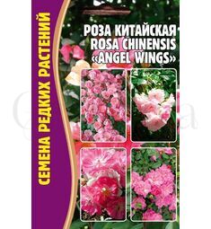 Роза китайская (Rosa chinensis) Angel Wings  10 шт РЕДКИЕ СЕМЕНА