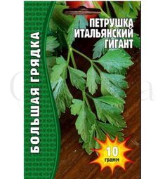 Петрушка Кудрявая 5000 шт РЕДКИЕ СЕМЕНА