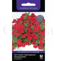 Петуния гибридная Пендолино Скарлет 5 шт ПОИСК