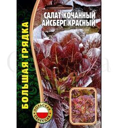 Салат кочанный Айсберг красный 1000 шт РЕДКИЕ СЕМЕНА