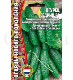Огурец Седрик F1 7 шт РЕДКИЕ СЕМЕНА