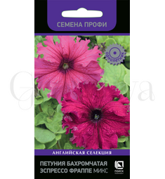 Петуния бахромчатая Эспрессо Фраппе Микс 10 шт ПОИСК