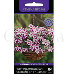 Петуния ампельная Изи Вейв F1 Бургунди Стар 5 шт ПОИСК