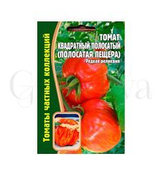 Томат Квадратный полосатый полосатая пещера 10 шт РЕДКИЕ СЕМЕНА