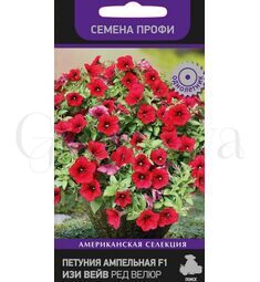 Петуния ампельная Изи Вейв F1 Ред Велюр 5 шт ПОИСК