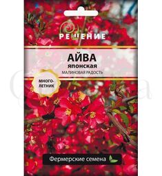 Айва японская Малиновая Радость 10 шт РЕДКИЕ СЕМЕНА