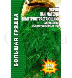 Укроп Пан Матеуш (быстроотрастающий) 2500 шт РЕДКИЕ СЕМЕНА